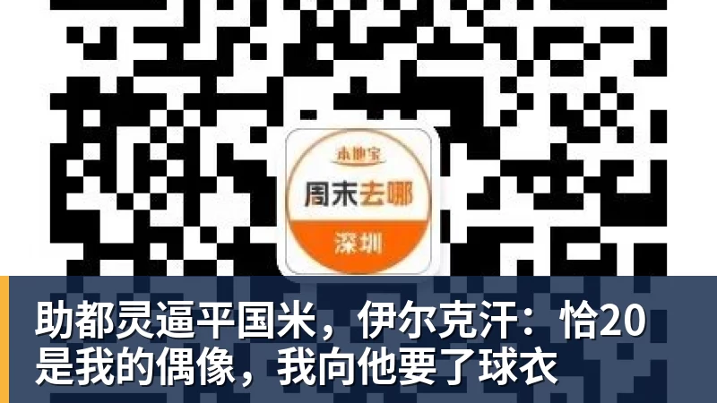 欧联勒沃库森vs采列主裁维尔古特数据：近20场执法55黄6红3点 - 麻将胡了2 - 麻将胡了2(中国)