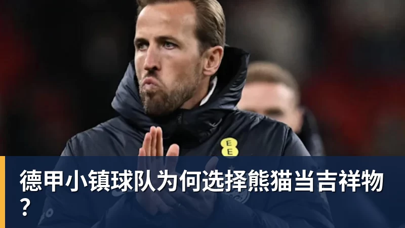 德甲小镇球队为何选择熊猫当吉祥物？