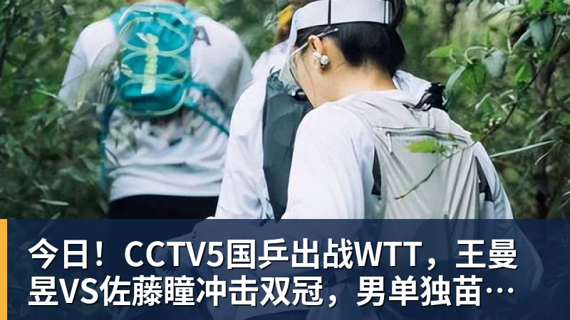 今日!CCTV5国乒出战WTT,王曼昱VS佐藤瞳冲击双冠,男单独苗周启豪PK松岛辉空